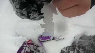 Riding Timbersleds around Revelstoke with my buddies