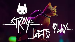 Stray Let's Play Gameplay Walkthrough - Pt 1 Fur, Whiskers and Purring Simulator [w/ Commentary]