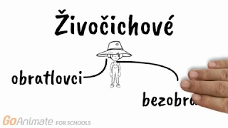 Základní rozdění živočichů - obratlovci, hmyz