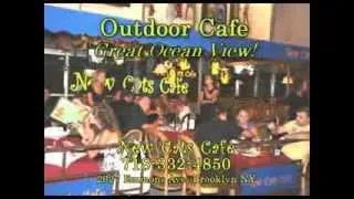 Реклама "New Cats Cafe" in New York Nargiz Zakirova (Наргиз Закирова)