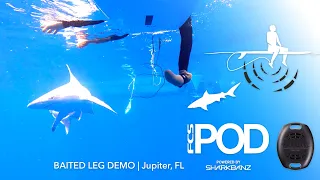 FCS x Sharkbanz POD - Shark Testing Demo - Watch Sharks' Reactions