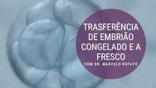 Transferência de embrião a fresco e congelado | CEFERP