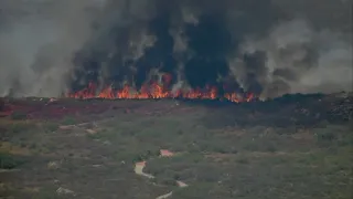 Cal Fire battles brush fire in Poway