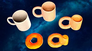 Intro to Topology - Turning a Mug Into a Doughnut