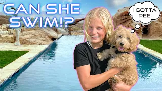 Teaching our Puppy to Swim! HER FIRST TIME!