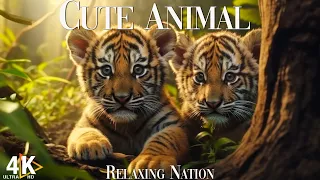 Baby Animals 4K - Amazing World Of Young Animals | Scenic Relaxation Film