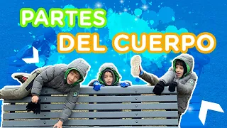 Aprendiendo Partes del Cuerpo en inglés con Los 3 Little Hammers