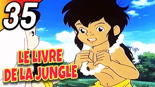 LE LIVRE DE LA JUNGLE | Partie 35 | Épisode Complet | Français | Jungle Book