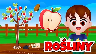 🌱 Wiosna w ogrodzie: Od nasiona do rośliny - Film edukacyjny dla dzieci