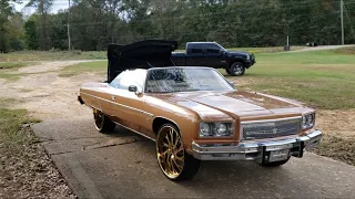 1975 Chevrolet Caprice Classic 26" Gold Forgiatos 7 Inch Lip ( @ceo_cliff )