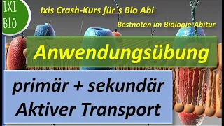 Primär aktiver Transport und sekundär aktiver Transport erklärt und als Vergleich als Anwendung