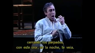 G.Bizet: Carmen "La fleur que tu m'avais jetée" Live Madrid 1999