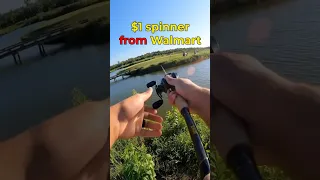 Can This $1 Walmart Spinner bait Catch a Fish?! #fishing #viral