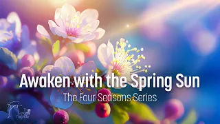 A Visual Journey for Focus and Creativity | Feel the Energy of Spring