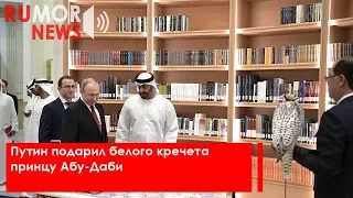 Путин подарил белого кречета принцу Абу-Даби