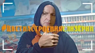 МС Снейп - Цвет настроения Слизерин [типа клип, пародия]