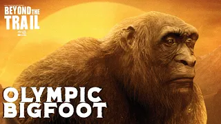 Olympic Bigfoot - Beyond the Trail new Sasquatch evidence documentary On the Trail of Bigfoot tie-in