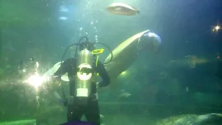 Jalan jalan ke seaworld ancol part 1 seru