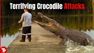 You Wouldn't Believe These Terrifying Crocodile Attacks if not Caught on Camera