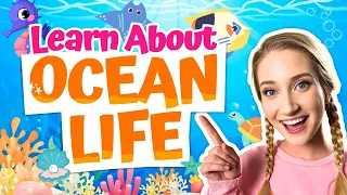 🔴 Learning Ocean Animal Life - Nursery Rhymes & Kids Songs - Sarah Sunshine