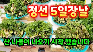 4월17일 정선5일장날 평일 인데요 사람들이 바글바글 산 나물이 나오기 시작 했어요 ~