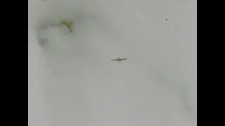 WWII Triple Ace Bud Anderson gun camera film - 8 May 1944.