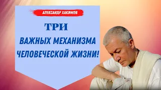 ТРИ ВАЖНЫХ механизма человеческой жизни! А.Хакимов