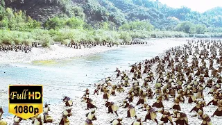 The ordinary man turned out to be the world's NO.1 kung fu master, one against 100 elite soldiers.