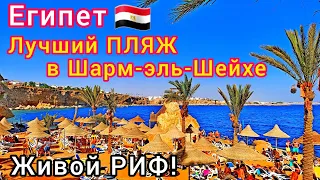 ЕГИПЕТ🇪🇬 КАЙФ❗ДИВНЫЙ ПЛЯЖ отеля DREAMS BEACH RESORT 5* в Шарм Эль Шейх. Бухта РАС УМ ЭЛЬ СИД