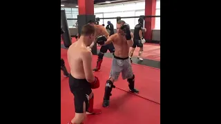 petr yan hard sparring