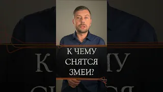 К чему снятся змеи? #романфад