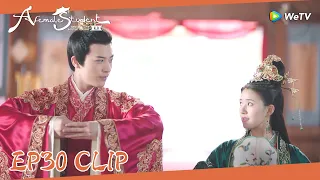 EP30 Clip | The wedding of Yunzhi and Qi was going on!| 国子监来了个女弟子| ENG SUB