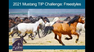 2021 Equine Affaire Mustang TIP Challenge Freestyles