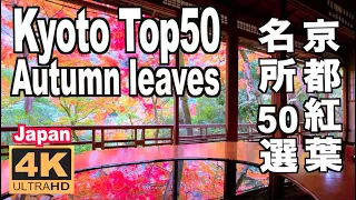 京都の紅葉名所50選  Kyoto Top50 Autumn leaves Spots JAPAN 京都観光 旅行 案内 日本の紅葉  Guide autumn colors maple