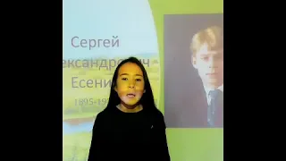 Сергей Есенин - Покраснела рябина