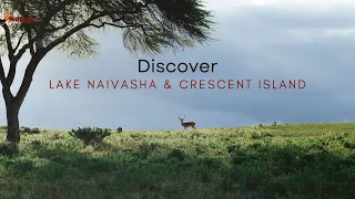 LAKE NAIVASHA AND CRESCENT ISLAND | An experience worth having