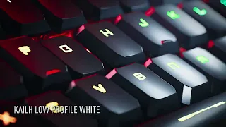 VIGOR GK50 Low Profile TKL Gaming Keyboard