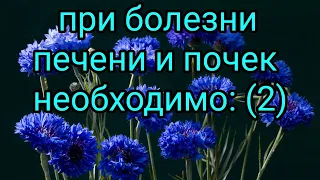 При болезни печени и почек необходимо: 2 Как лечить печень и почки? Лечебные травы и растения. Народ