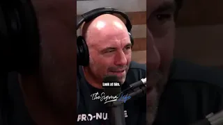 Weasels Are the MEANEST Animals - Joe Rogan