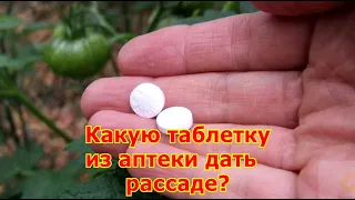 Какую таблетку из аптеки дать рассаде?