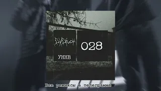 УННВ - 028 (Remix DVDF*ck) TikTok Remix