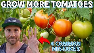 4 Mistakes That Are KILLING Your Tomato Production!