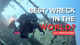 EXPLORING THE BEST WRECK IN THE RED SEA || Thistlegorm + Ras Muhammad National Park