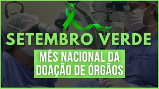 Transplante de órgãos no Brasil: como funciona?