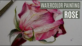 HOW TO PAINT REALISTIC FLOWER?   [Watercolor Rose] | Painting Time Lapse