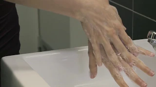 How to properly wash your hands