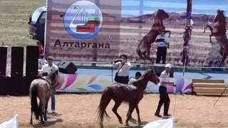 Алтаргана 2016 Соревнования по конным скачкам Ипподром Дацана Ч5
