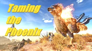 Ark Survival Ascended: Taming the Phoenix
