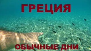 обычный день в Греции (дикий пляж Александруполис-Αλεξανδρούπολις)