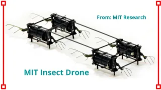 MIT Insect Drone